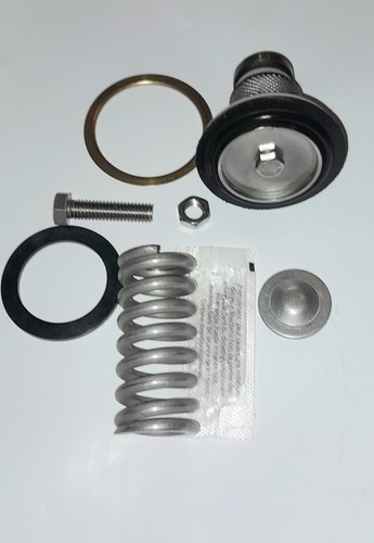 Zurn Wilkins RK34-NR3XL - Kit riparazione valvola riduzione pressione - Foto 11 di 12