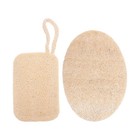  2Pcs Natural Loofah Brush Loofah Dish Scrubber Dish Wash Scrubber Handheld