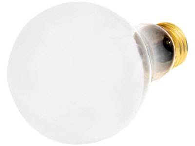 PACK OF 6 BULBRITE 712110 100W A21 E26 BASE CLR INCAND HALF CHROME LIGHT BULB