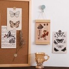 Bild 3 von 9