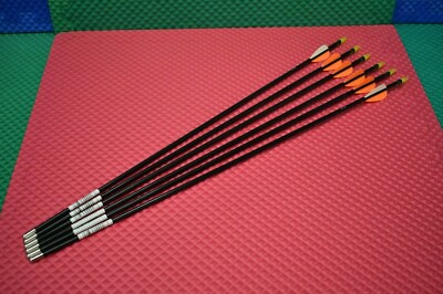 ALLEN 26''  Qty-6 Pre Fletched Youth Arrows 9026- PDQ