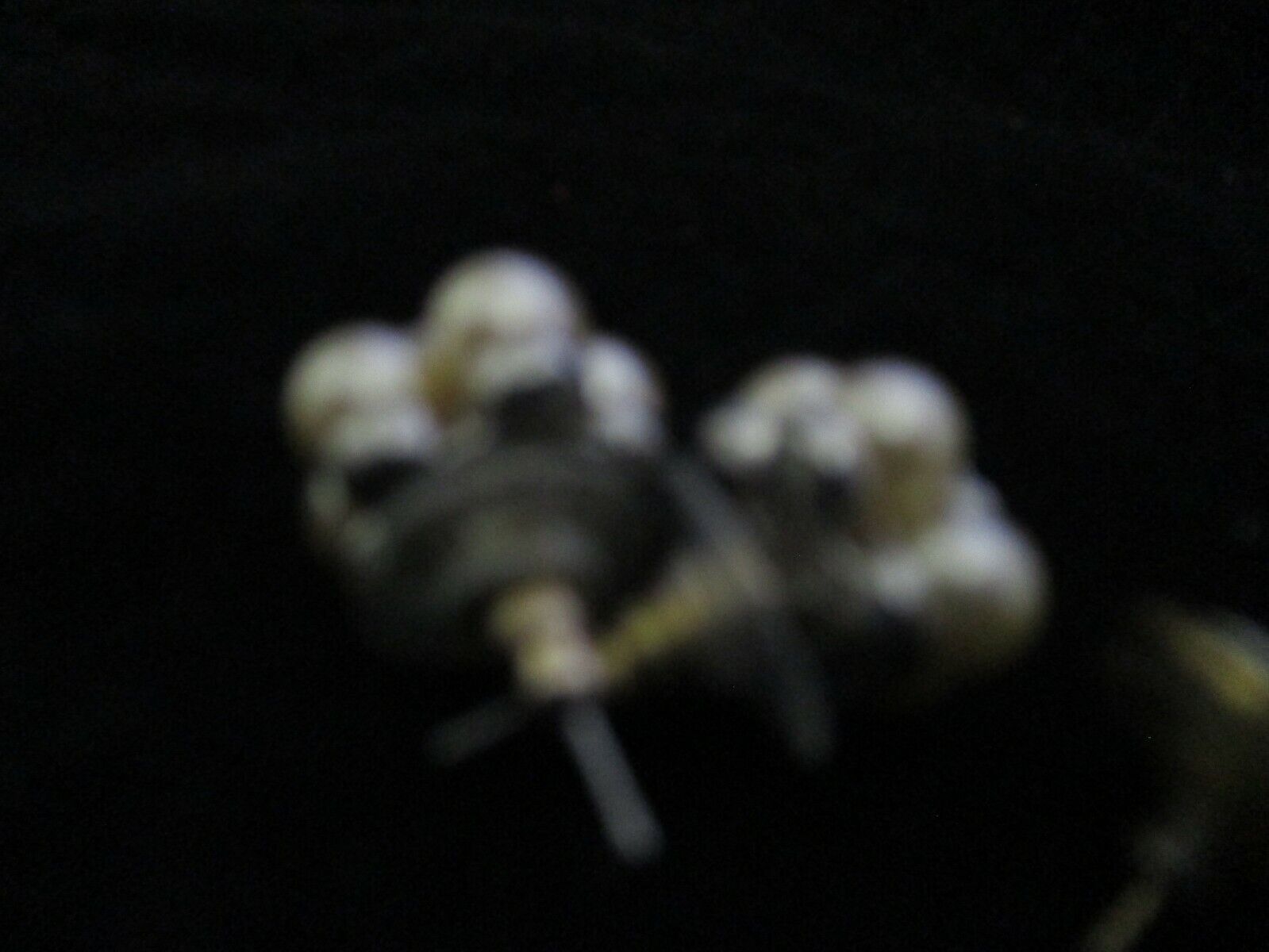 Picture 5 of 7