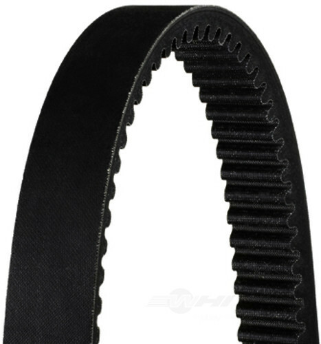 Belt Dayco HP3019 - Picture 1 of 2