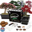 Sproutix Bonsai Starter Kit, 5 Seeds Growing into Acacia, Wisteria, Sakura, R