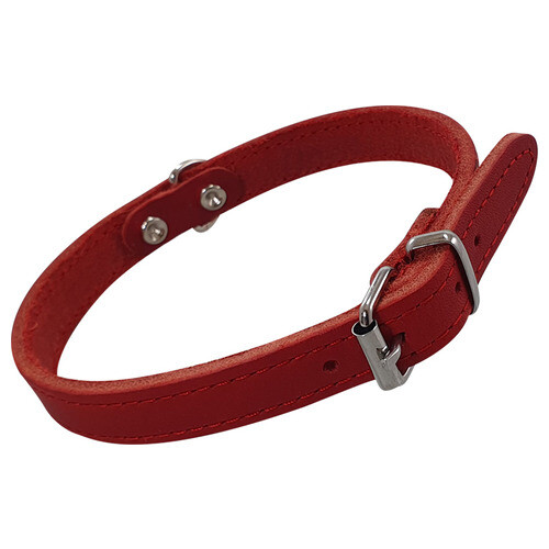 Collar Nobby Perros Estable Rojo, Varios Tamaños, NUEVO - Imagen 2 de 5
