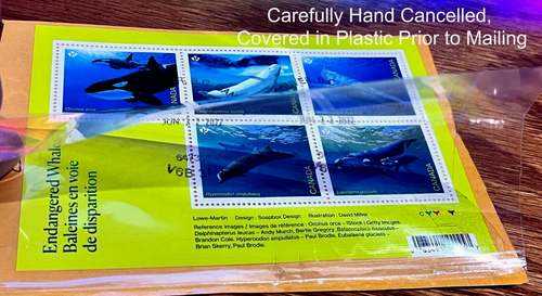 🍁 ENDANGERED WHALES Canada Sc#3327 Souvenir Sheet - USED - SUPERB (2022) - Picture 2 of 4