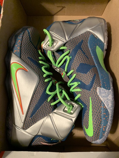 nike zoom lebron xii