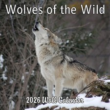 2026 Wolves of the Wild Monthly Wall Calendar | 12" x 24" | Animals Calendar