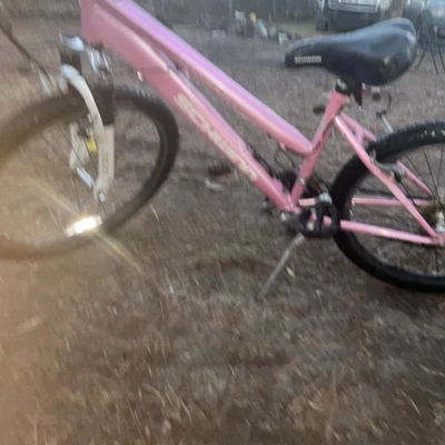 Pink Schwinn 24 Inch Women's Bike SCHWINN PINK WINDWOOD RETRO WOMEN'S CRUISER BIKE WITH WIDE WHITE Pink Schwinn 24 Inch Women's Bike SCHWINN PINK WINDWOOD RETRO WOMEN'S CRUISER BIKE WITH WIDE WHITE