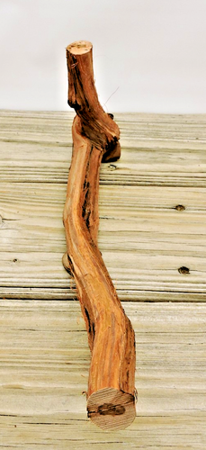 Palo de madera de vid de 14" tronco madera a la deriva decoración artesanías mango entrepierna torcida 1"D - Imagen 4 de 19