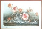 Picture 2 of 5