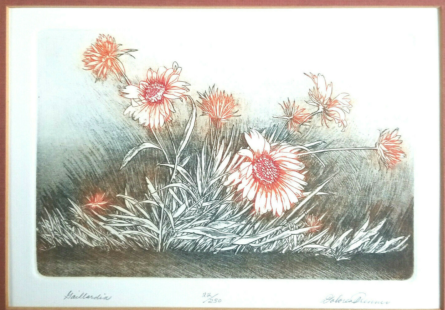 Picture 2 of 5
