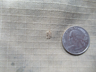 Picture 17 of 18