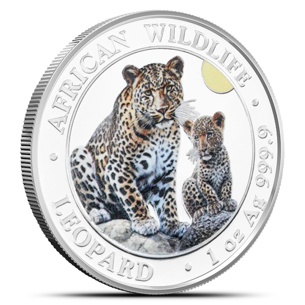 ★BLUE ELEPHANT★ ZENON leopard MUSINSA | BLUE ELEPHANT DOZEN leopard