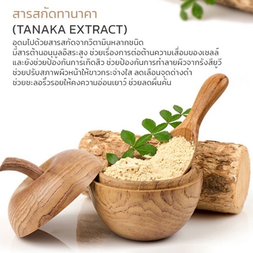50g. MYANMAR THANAKA Tanaka Pulver 100% Original reduzieren Akne dunkle Flecken Melasma - Bild 16 von 24