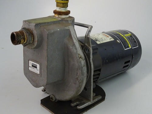 Dayton 1/2HP Utility Centrifugal Pump, 115v , 2P390A 0705 - Picture 3 of 9