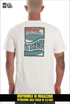 patagonia cosmic peaks t shirt