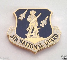 AIR NATIONAL GUARD US AIR FORCE (1-1/8") Military Hat Pin P15987 EE