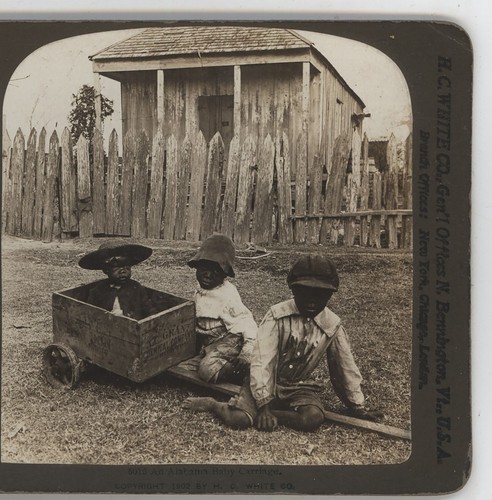 Three Little Black Boys Playing with Makeshift Carriage White Stereoview c1900
