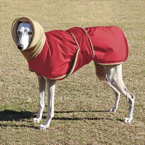 Chaqueta para perro mascota galgo ropa de invierno abrigo grueso grande agujero de plomo perro sudadera con capucha - Imagen 15 de 16