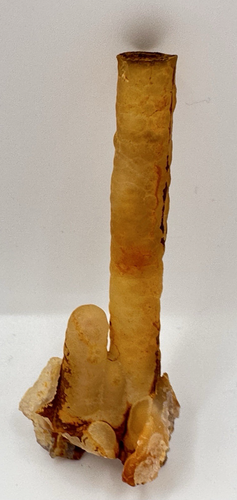 RARE Indo Agate "Fossil Bamboo" Stalactite Crystal - Pearl-Like Gem 13g - Picture 9 of 9