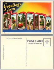 Florida Letter Art Postcard