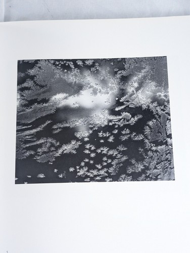 Two Books by Paul Caponigro - Sunflower 1974 & Aperture Monograph 1972 Paperback - Picture 9 of 24
