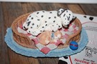 Bild 8 von 14