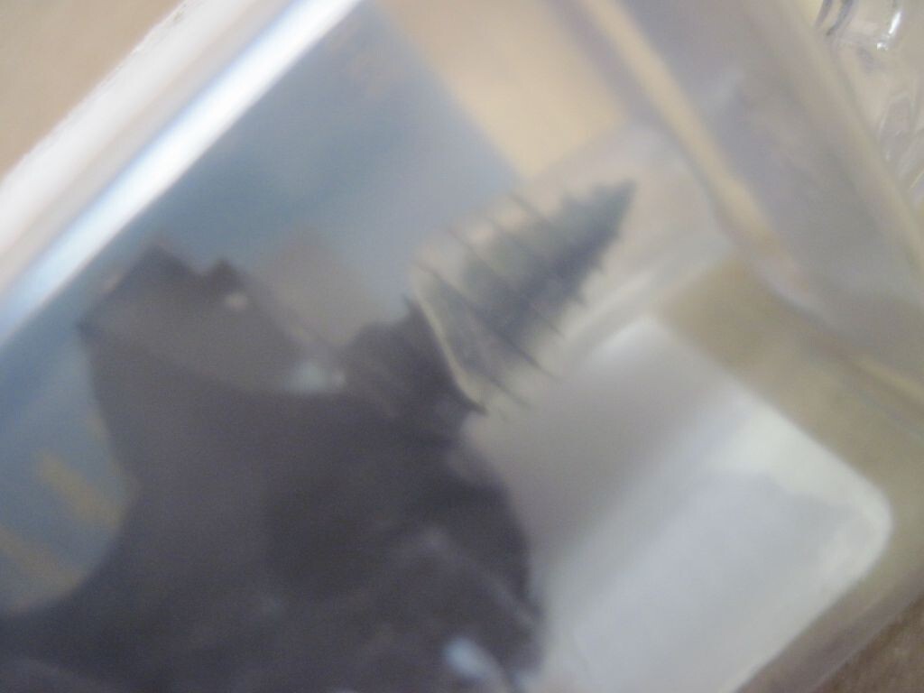 Bild 4 von 6