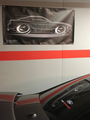 Big Banner '10-'14 Mustang Art GT Ford 2010 2011 2012 2013 2014 5.0 302 - Foto 4 di 16