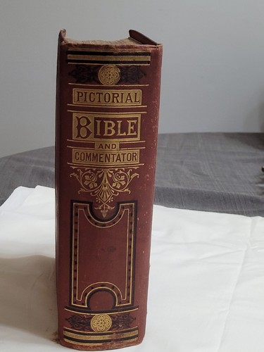 Pictorial And Commentator Bible For Young People 1880 - Picture 3 of 17