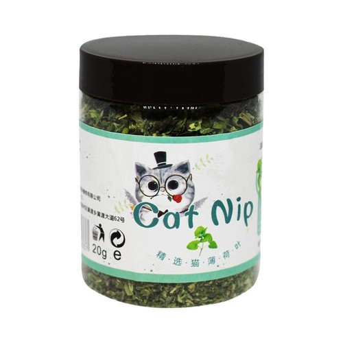 20g Natural High Quality Catnip Cattle Grass Mint Taste Funny F1Z4 φ◇ Toy 9l9f3 - Picture 10 of 10