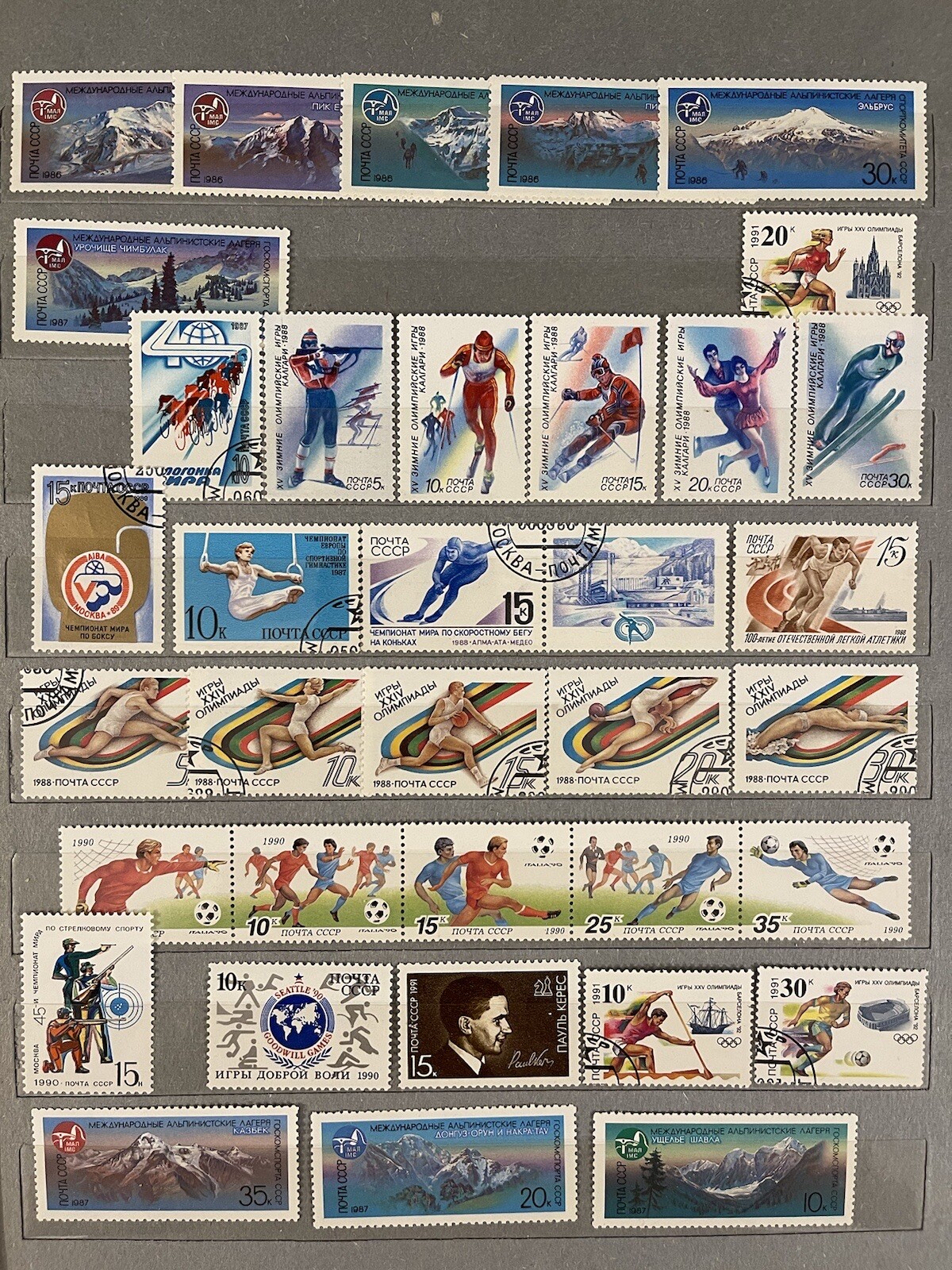 Picture 11 of 12