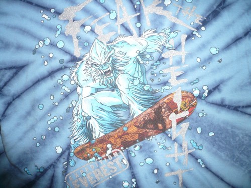 Walt Disney World Kids Expedition Everest T-shirt - Picture 2 of 6