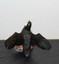 Bild 2 von 2