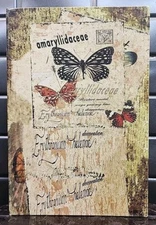 Butterfly Taxonomy Wooden Hollow Hideaway Safe Box Book Magnetic 12×8×2.75"