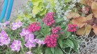Foto 6 di 6