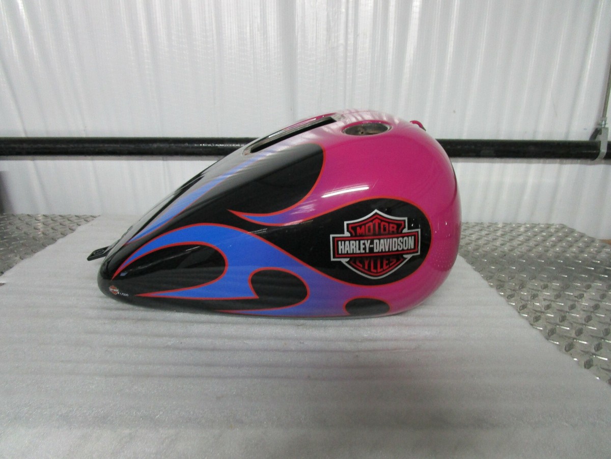 2000-2007 Harley-Davidson FLSTC EFI Heritage Softail Fading Flames