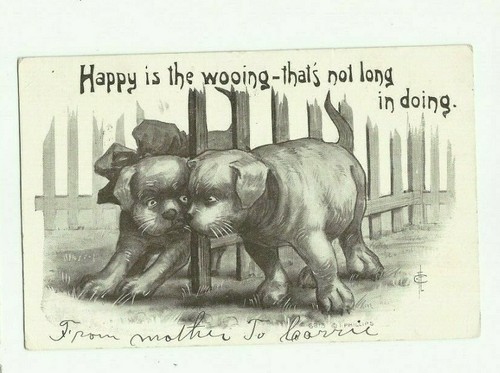 Antique postcard, 2 puppies,male and female,Happy Wooing,not long in doing - Picture 1 of 2