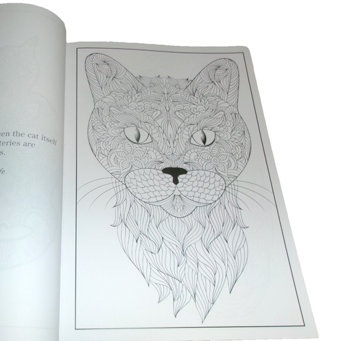 Creative Expressions Vol 36 Living Colors Coloring Book THEME Cats NEW FREE SHIP - Picture 9 of 24