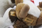 Bild 8 von 8