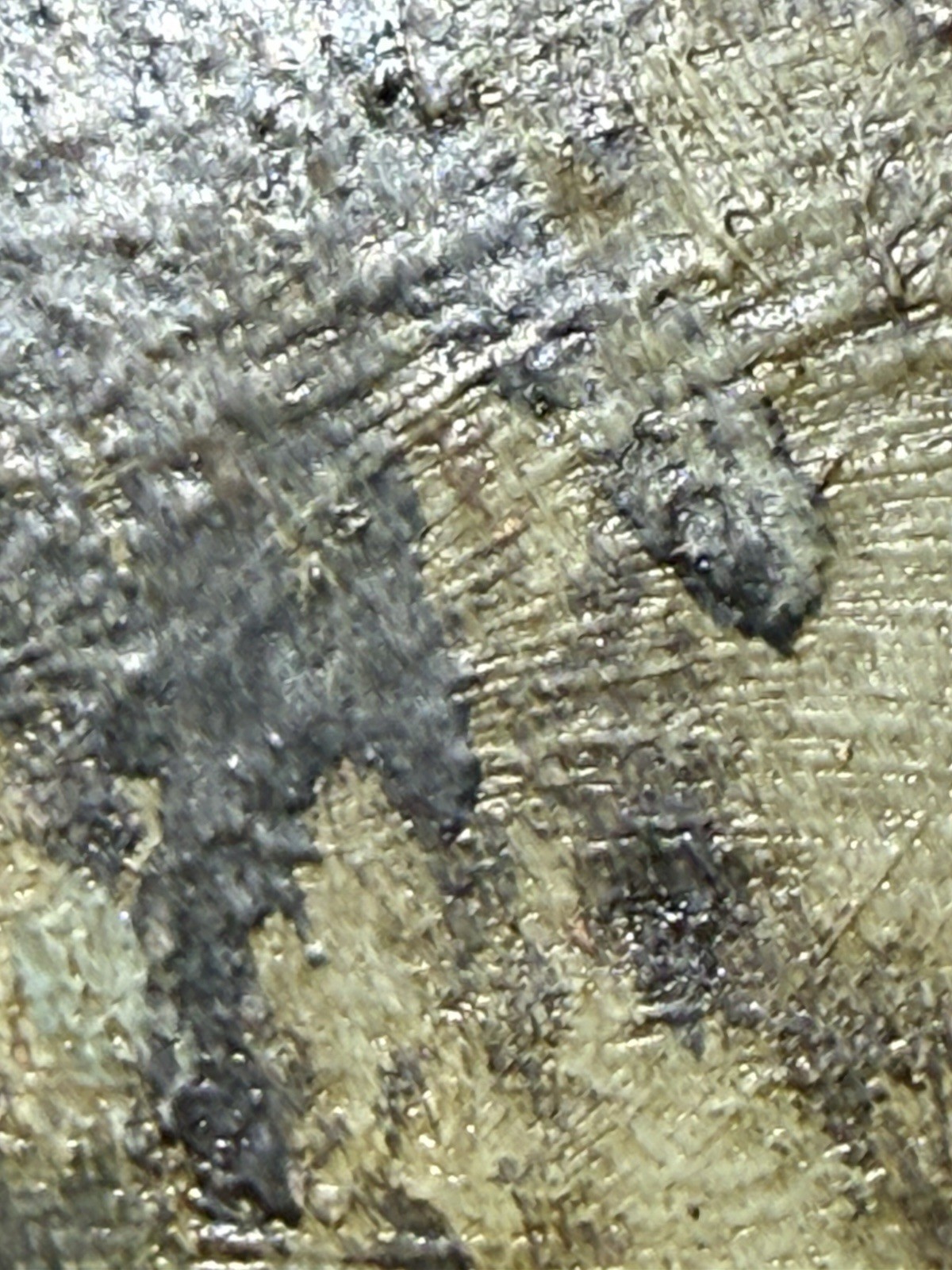 Picture 16 of 24