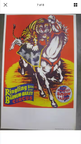 59' Vintage Ringling Bros Barnum Bailey Zirkus Poster Tiger zu Pferd
