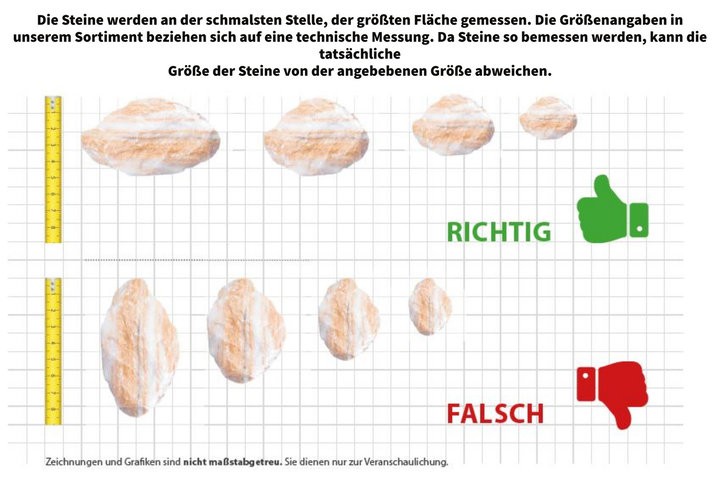 Bild 2 von 2