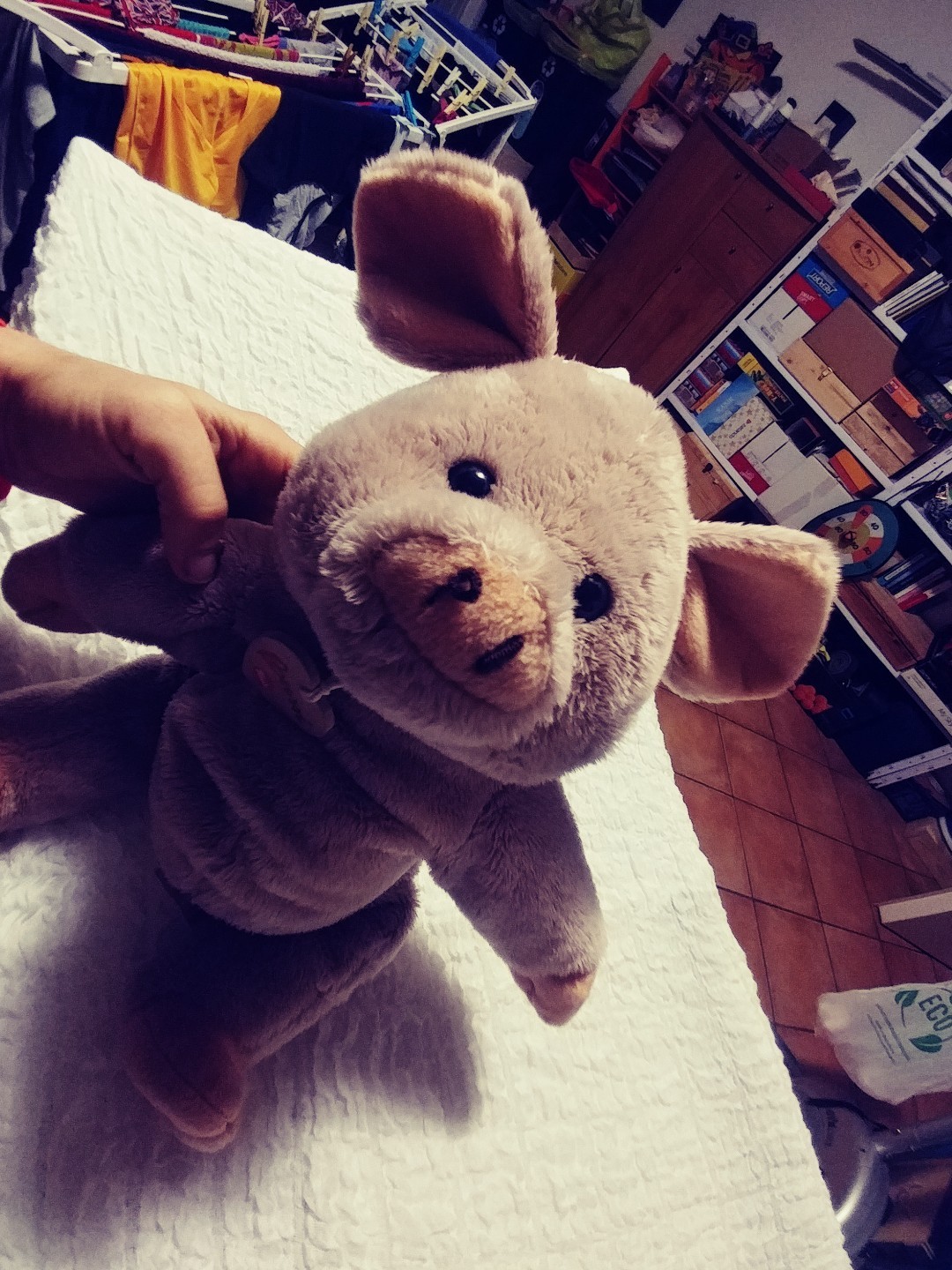 Foto 1 di 3