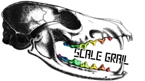 Tree stumps with Roots | The Scale Grail - Picture 4 of 7