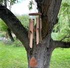 Picture 3 of 3