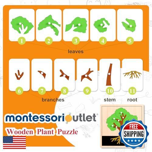 MONTESSORI OUTLET Nature Materials Tree Puzzle Early Preschool Learning Toys - Picture 3 of 5