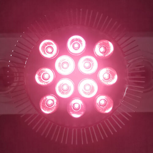 24W Infrared 805~810nm PAR38 LED Lamp Spot Light Bulb F night vision Therapy E27 - Picture 7 of 7