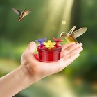 Bild 8 von 9
